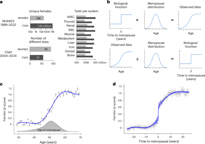 Population-wide reconstruction of menopause dynamics reveals physiological cliff during last menstrual period