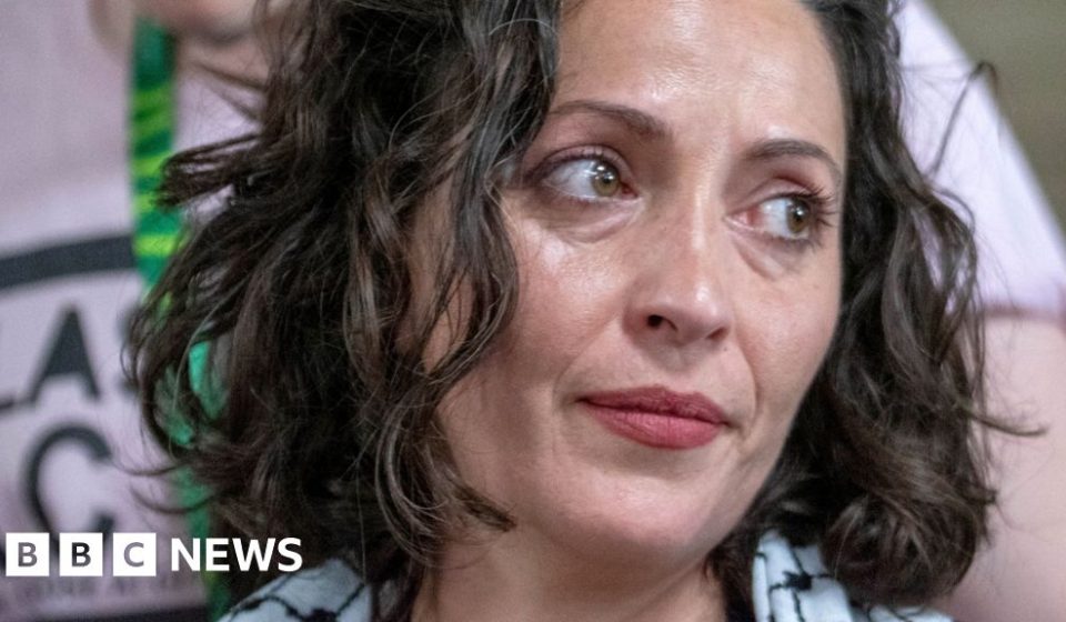 Greens investigate party member behind Zionist motion