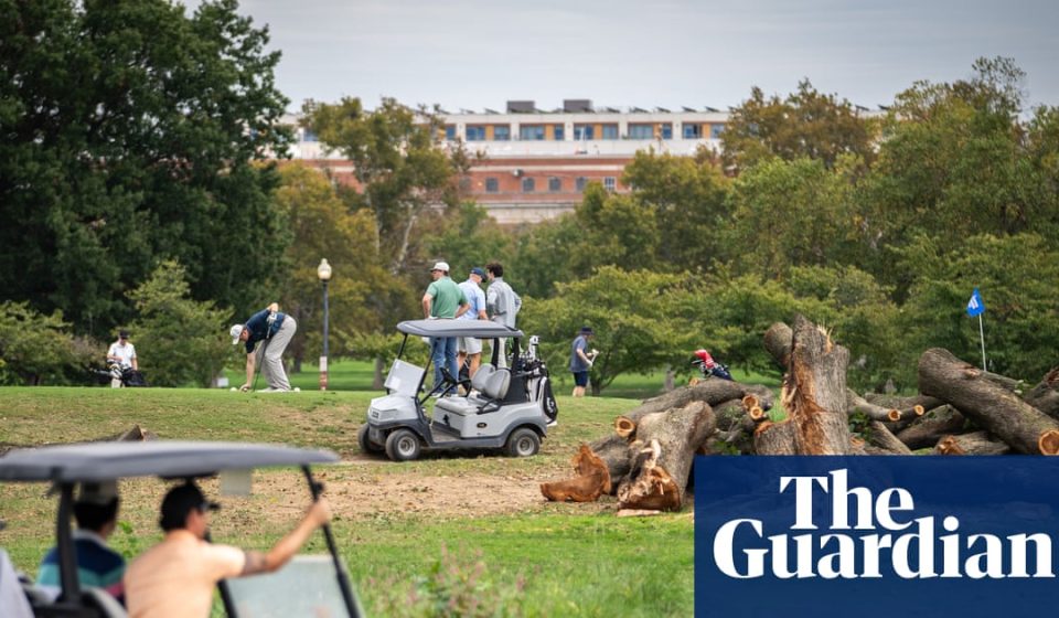 Judge stops tree felling at Washington golf course Trump eyes expansion | Trump administration