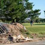 “Waste Island? » Golfers say the course is not the dump Trump describes.