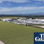 Cyclospora found on Mexican farm linked to lettuce outbreak, FDA says | US News