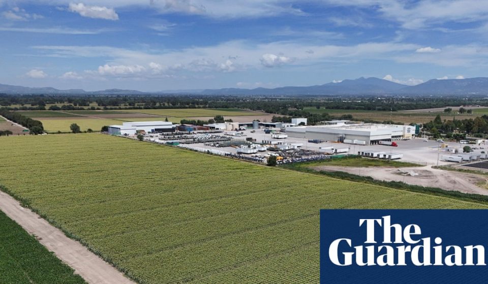 Cyclospora found on Mexican farm linked to lettuce outbreak, FDA says | US News