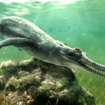 Scientists discovered a crocodile they didn't know existed