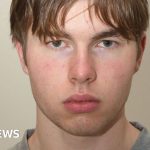 Norwegian teen 'hitman' arrested over UK murder plot - BBC News Africa
