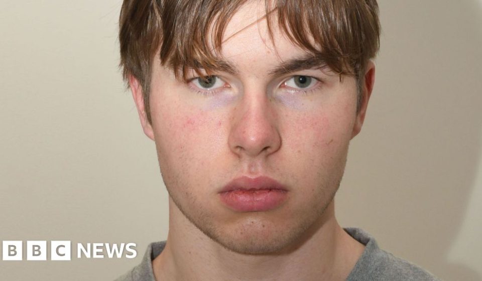 Norwegian teen 'hitman' arrested over UK murder plot - BBC News Africa