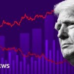 Where the US mid-term elections will be won and lost – BBC News Africa
