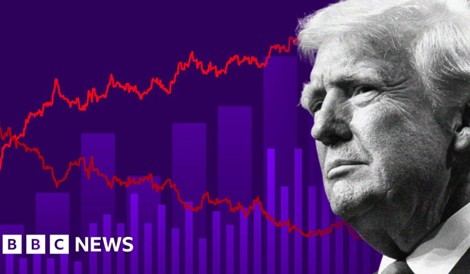 Where the US mid-term elections will be won and lost – BBC News Africa