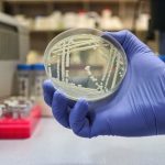 This deadly fungus continues to learn to overcome all the drugs we throw at it