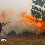 Borneo burns: Life on the front lines in Southeast Asia's toxic haze - BBC News Africa