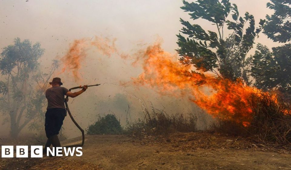 Borneo burns: Life on the front lines in Southeast Asia’s toxic haze – BBC News Africa Borneo burns: Life on the front lines in Southeast Asia's toxic haze - BBC News Africa