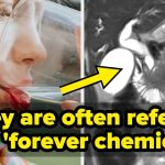 Doctors implore you to pay attention to this popular drink that could increase your risk of colorectal cancer - BuzzFeed