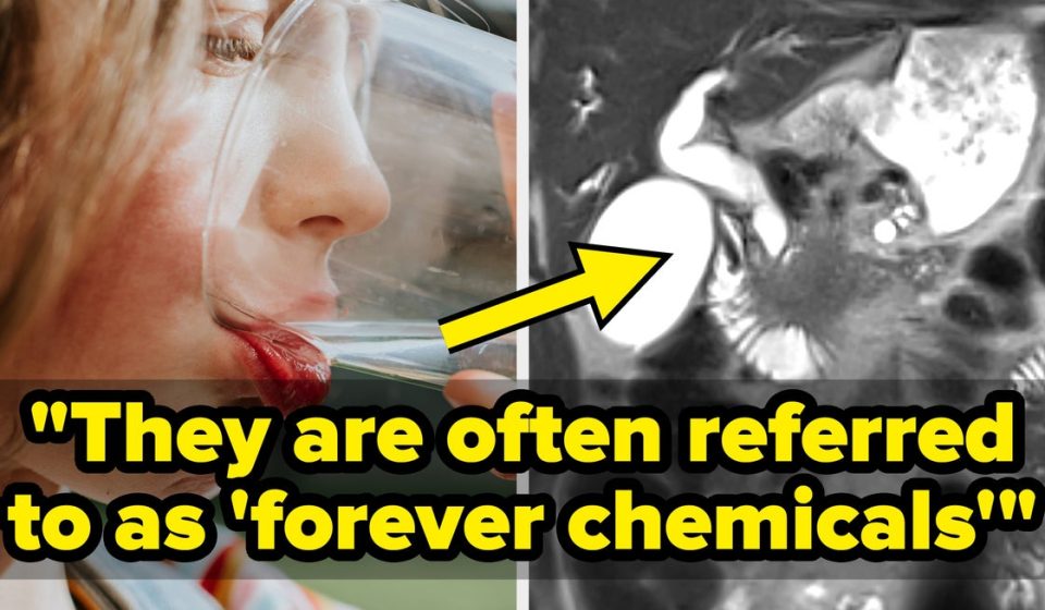 Doctors implore you to pay attention to this popular drink that could increase your risk of colorectal cancer - BuzzFeed
