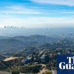 Snakes, bobcats, pumas: the secret animal world under the Hollywood sign | Los Angeles