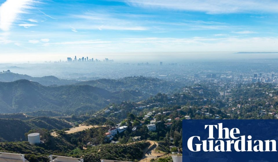 Snakes, bobcats, pumas: the secret animal world under the Hollywood sign | Los Angeles