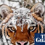 World must change the way it produces food to avoid biodiversity collapse, says WWF | WWF