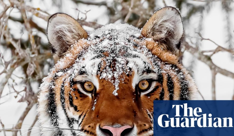 World must change the way it produces food to avoid biodiversity collapse, says WWF | WWF
