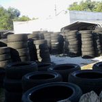 Amid a dengue outbreak, St. Pete residents are wondering: Is a tire store spreading it? - Tampa Bay Times