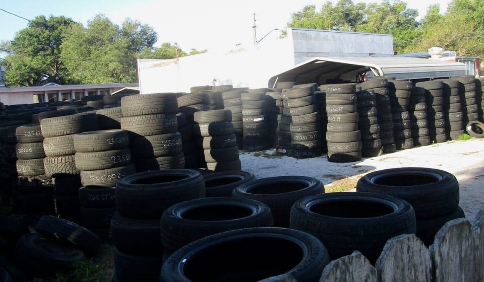 Amid a dengue outbreak, St. Pete residents are wondering: Is a tire store spreading it? - Tampa Bay Times