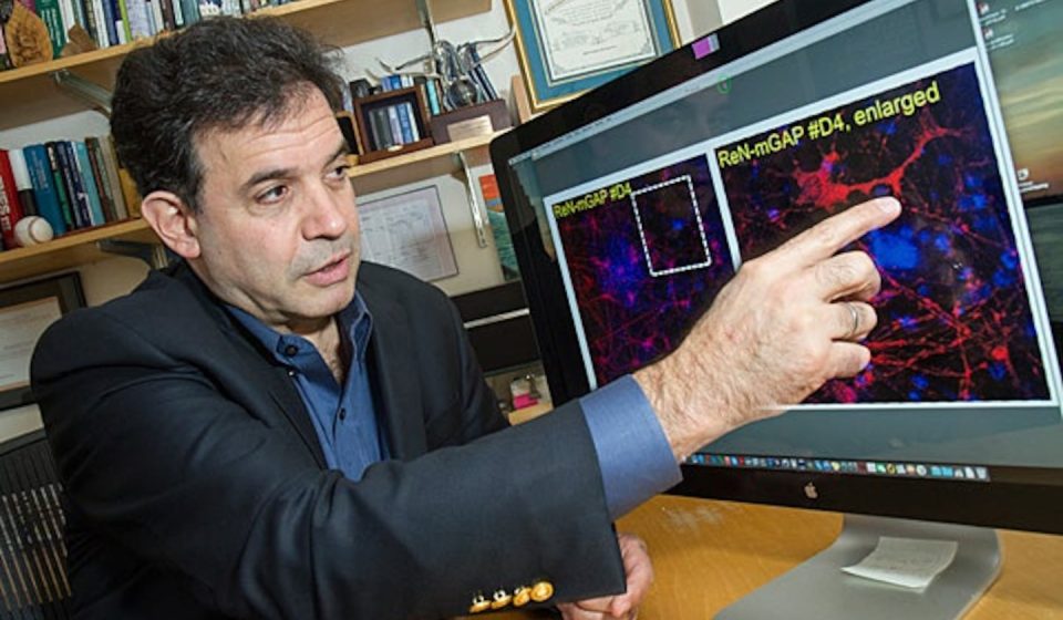 Alzheimer’s prevention: Mass General neuroscientist Brigham receives research funding Alzheimer's prevention: Mass General neuroscientist Brigham receives research funding