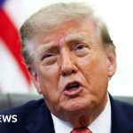 Trump sued over Canadian tariffs in latest legal challenge - BBC News Africa