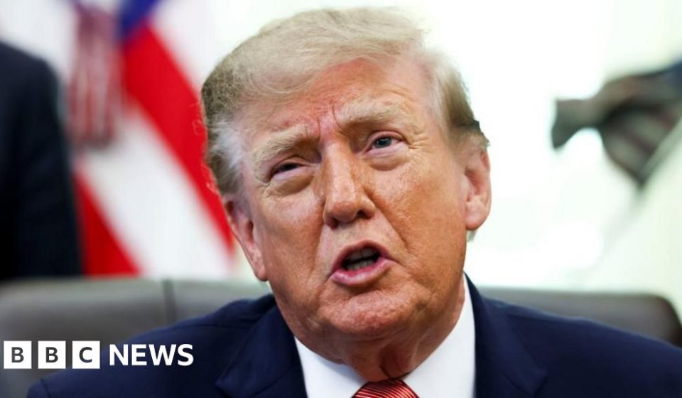 Trump sued over Canadian tariffs in latest legal challenge - BBC News Africa