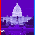 A simple guide to the US mid-term elections – BBC
