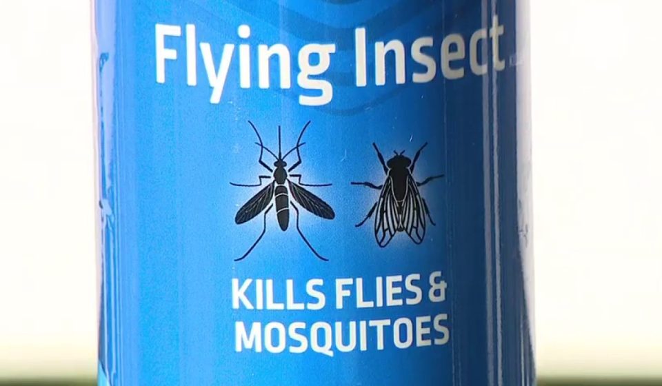 Clearwater man recovering from dengue warns others to take virus seriously Clearwater man recovering from dengue warns others to take virus seriously