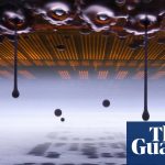 The winners of the Nikon Small World photomicrography competition – in pictures | Photography