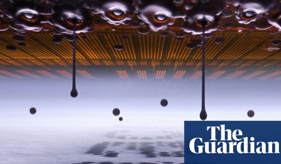 The winners of the Nikon Small World photomicrography competition – in pictures | Photography