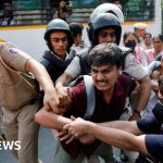 Leaders of group of 'cockroaches' among hundreds detained during Delhi protest - BBC News Africa