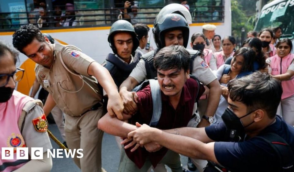 Leaders of group of 'cockroaches' among hundreds detained during Delhi protest - BBC News Africa