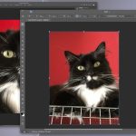 How to get Adobe Creative Suite clone
