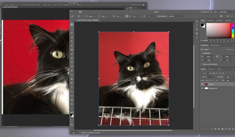How to get Adobe Creative Suite clone