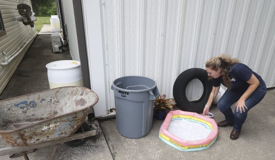 Dengue cases continue to rise after heavy rains in Tampa Bay