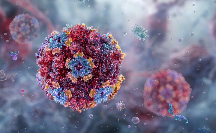 Norovirus rates are increasing. Here's what you need to know.