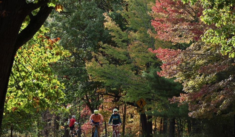 Madison earns spot on prestigious “World’s Best” list – Wisconsin State Journal