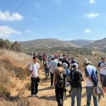 IDF arrests 90 activists accompanying Palestinians during West Bank harvest