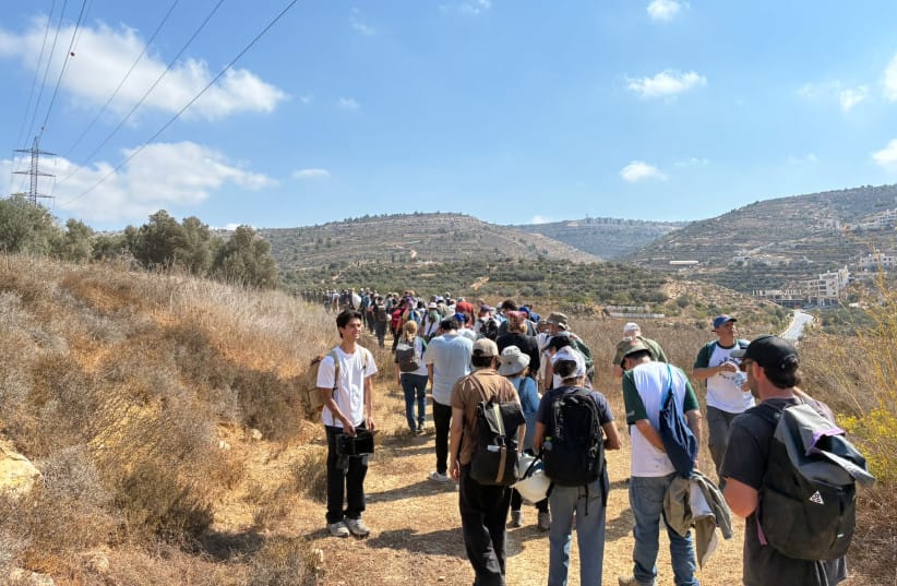 IDF arrests 90 activists accompanying Palestinians during West Bank harvest