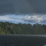Brazil: deforestation in the Amazon is the lowest in almost 40 years