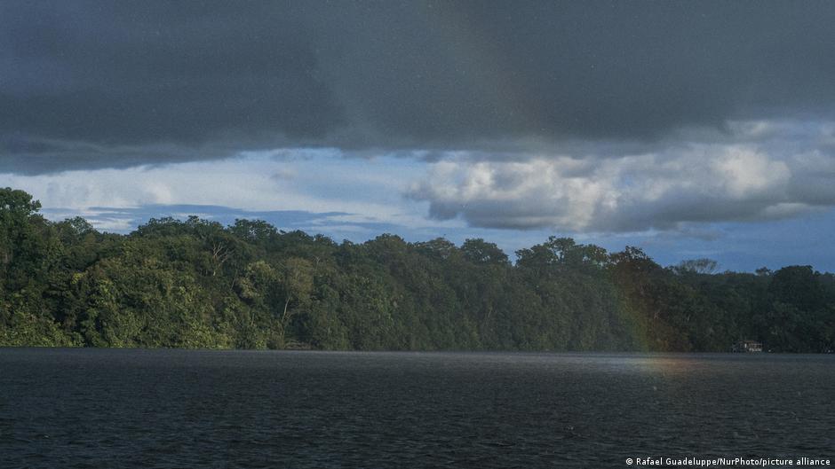 Brazil: deforestation in the Amazon is the lowest in almost 40 years