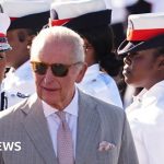 King acknowledges 'past suffering' as Caribbean tour begins - BBC News Africa