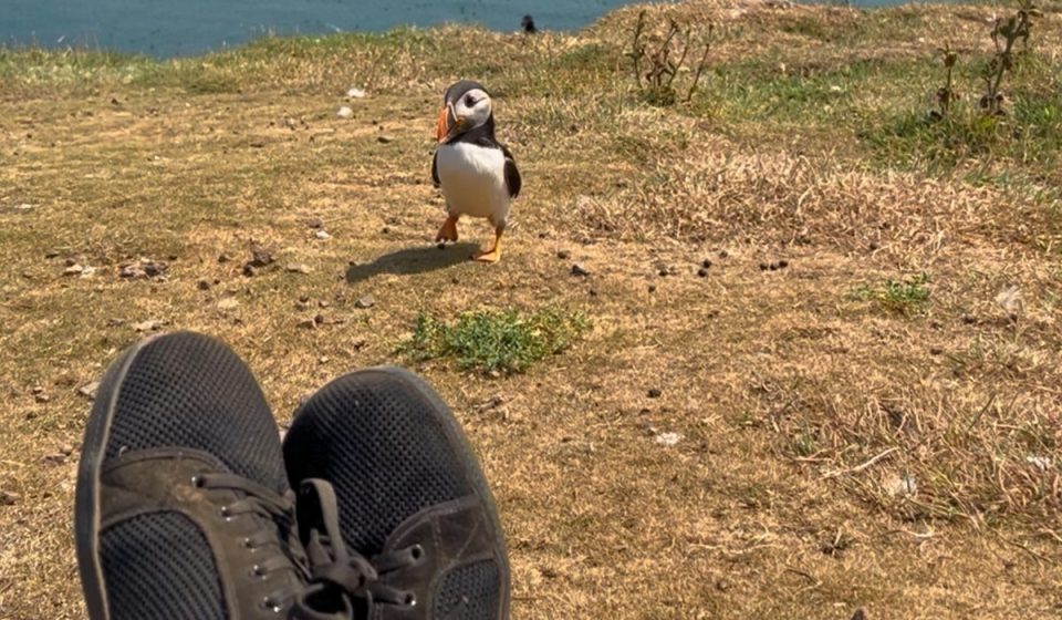 “I could look at them forever.” This adorable clip will give a boost to your soul