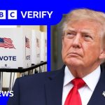 Trump says US election fraud is 'endemic'