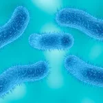 Does Ohio have a sexually transmitted diarrheal disease?
