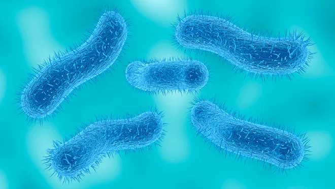 Does Ohio have a sexually transmitted diarrheal disease?