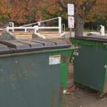 Dozens of undelivered ballots found in dumpster in Seattle park