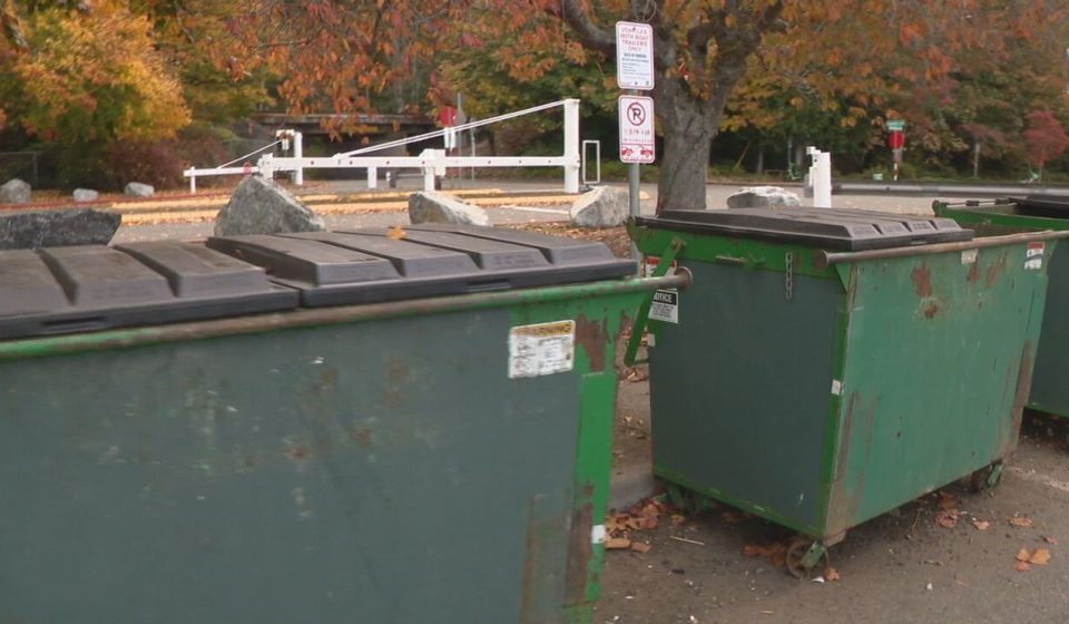 Dozens of undelivered ballots found in dumpster in Seattle park