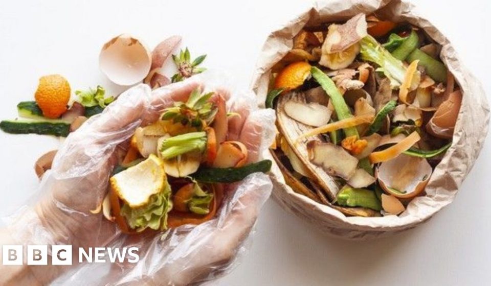 Biggest increase in fiber could be from leftovers in your bin, experts say - BBC News Africa