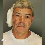 Man pleads guilty to federal hate crime charges following deadly Colorado Molotov cocktail attack - BBC News Africa