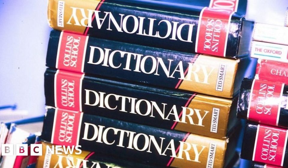 Maxxing selected as Word of the Year by Dictionary.com